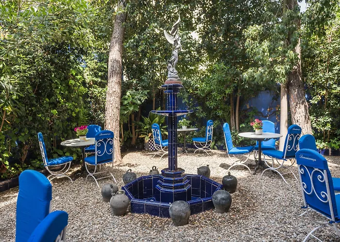 雷纳新卡媒介酒店 *