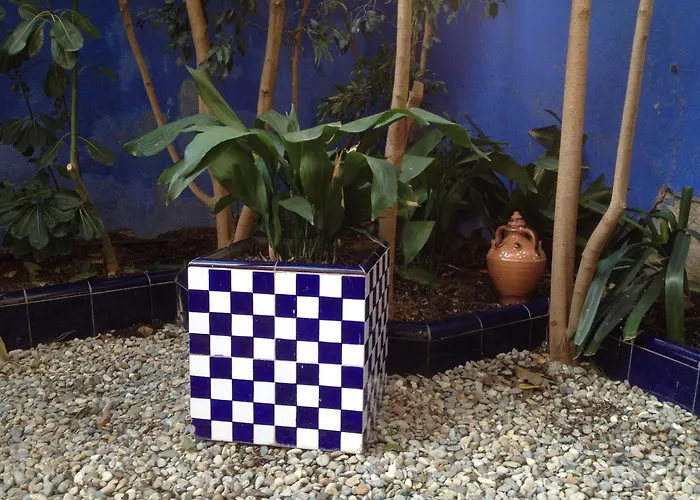 雷纳新卡媒介酒店 酒店