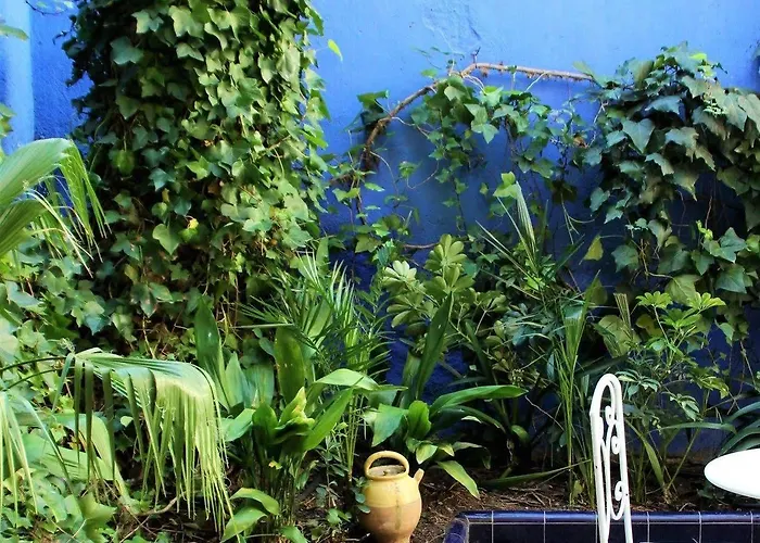 酒店 雷纳新卡媒介酒店 锡切斯